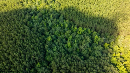 100± Acres of Timber & Hunting Land | Union Parish, LA - image 24