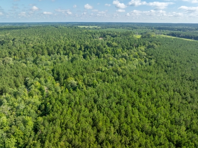 100± Acres of Timber & Hunting Land | Union Parish, LA - image 21