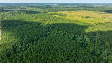 100± Acres of Timber & Hunting Land | Union Parish, LA - image 8