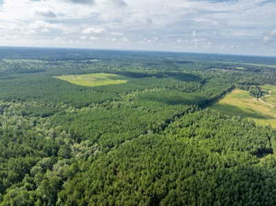 100± Acres of Timber & Hunting Land | Union Parish, LA - image 16