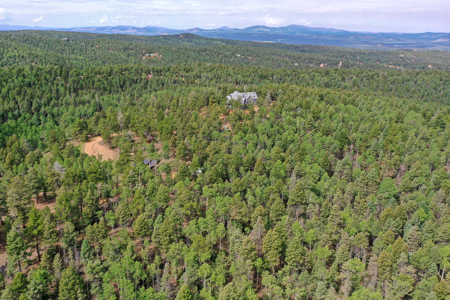 Luxury French Provincial Home on 35 Acres in Florissant, CO - image 48