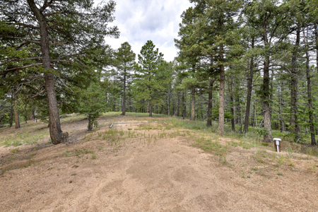 Luxury French Provincial Home on 35 Acres in Florissant, CO - image 36