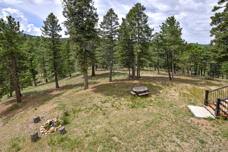 Luxury French Provincial Home on 35 Acres in Florissant, CO - image 41