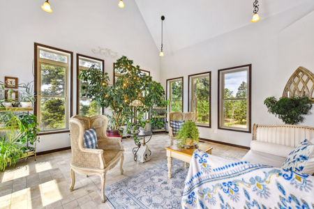 Luxury French Provincial Home on 35 Acres in Florissant, CO - image 14