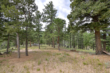 Luxury French Provincial Home on 35 Acres in Florissant, CO - image 38
