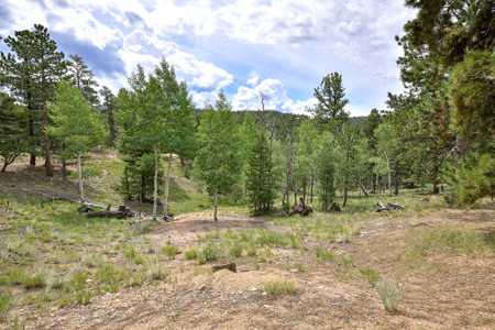 Luxury French Provincial Home on 35 Acres in Florissant, CO - image 39