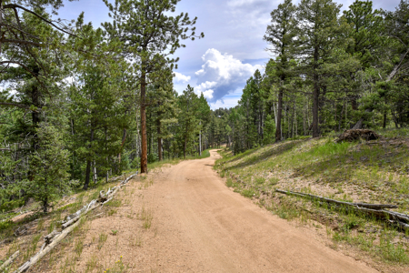 Luxury French Provincial Home on 35 Acres in Florissant, CO - image 40