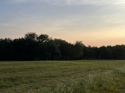 Beautiful Hillside Acreage For Your Forever Home - image 11