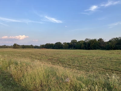 Beautiful Hillside Acreage For Your Forever Home - image 13