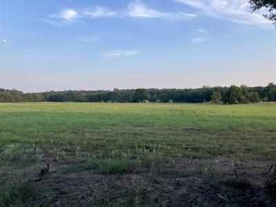 Beautiful Hillside Acreage For Your Forever Home - image 4