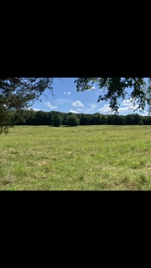 Beautiful Hillside Acreage For Your Forever Home - image 1