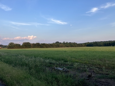 Beautiful Hillside Acreage For Your Forever Home - image 5