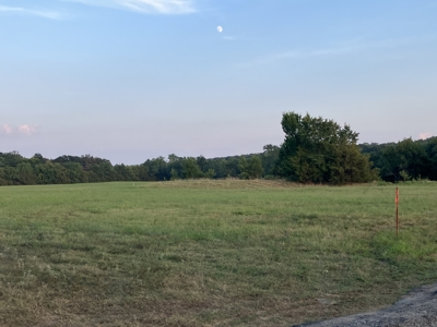 Beautiful Hillside Acreage For Your Forever Home - image 8