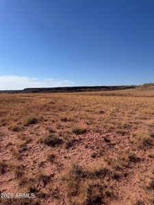 Desert Land For Sale in St. Johns, AZ! - image 4