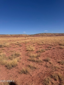 Desert Land For Sale in St. Johns, AZ! - image 3