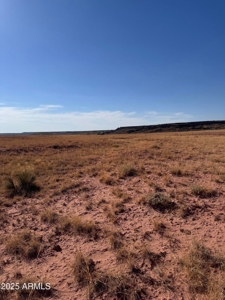 Desert Land For Sale in St. Johns, AZ! - image 5