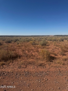 Desert Land For Sale in St. Johns, AZ! - image 6