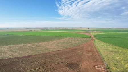 260.47+/- Acre Irrigated/Dryland Farm w/House in Castro County - image 3