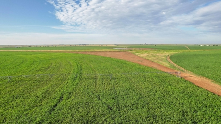 260.47+/- Acre Irrigated/Dryland Farm w/House in Castro County - image 4