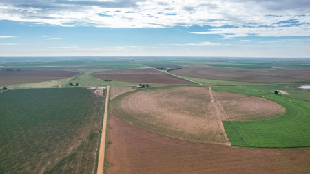 260.47+/- Acre Irrigated/Dryland Farm w/House in Castro County - image 20