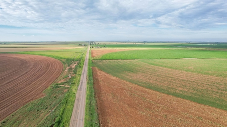 260.47+/- Acre Irrigated/Dryland Farm w/House in Castro County - image 11