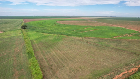 260.47+/- Acre Irrigated/Dryland Farm w/House in Castro County - image 31