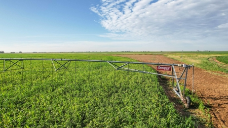 260.47+/- Acre Irrigated/Dryland Farm w/House in Castro County - image 6