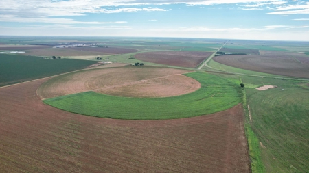260.47+/- Acre Irrigated/Dryland Farm w/House in Castro County - image 28