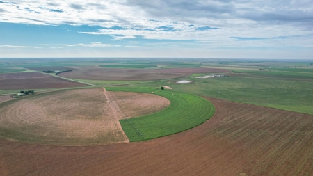 260.47+/- Acre Irrigated/Dryland Farm w/House in Castro County - image 19