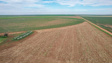 260.47+/- Acre Irrigated/Dryland Farm w/House in Castro County - image 29