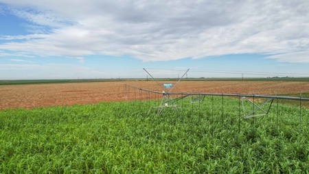 260.47+/- Acre Irrigated/Dryland Farm w/House in Castro County - image 25