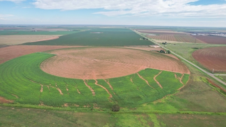 260.47+/- Acre Irrigated/Dryland Farm w/House in Castro County - image 32