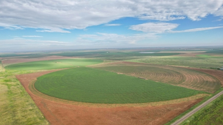 260.47+/- Acre Irrigated/Dryland Farm w/House in Castro County - image 14