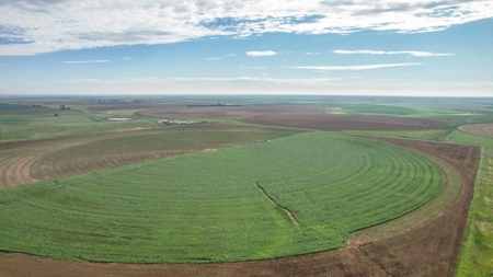260.47+/- Acre Irrigated/Dryland Farm w/House in Castro County - image 17