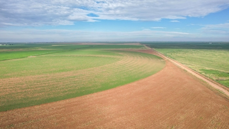 260.47+/- Acre Irrigated/Dryland Farm w/House in Castro County - image 12