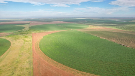 260.47+/- Acre Irrigated/Dryland Farm w/House in Castro County - image 15