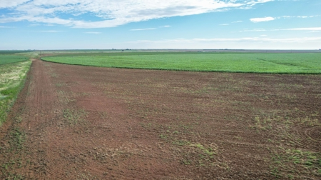 260.47+/- Acre Irrigated/Dryland Farm w/House in Castro County - image 16