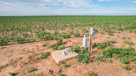 260.47+/- Acre Irrigated/Dryland Farm w/House in Castro County - image 18