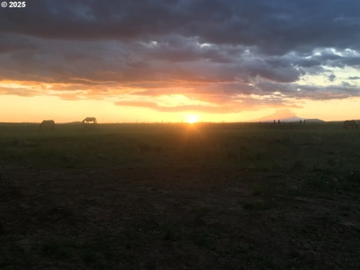 160 Acres of Prime Goldendale Land with Mountain Views - image 31