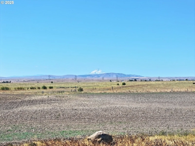 160 Acres of Prime Goldendale Land with Mountain Views - image 12