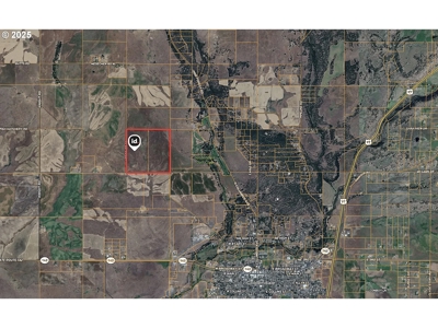 160 Acres of Prime Goldendale Land with Mountain Views - image 8