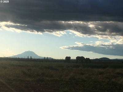 160 Acres of Prime Goldendale Land with Mountain Views - image 13