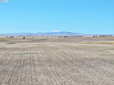 160 Acres of Prime Goldendale Land with Mountain Views - image 26