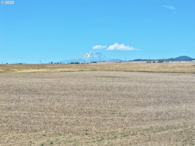 160 Acres of Prime Goldendale Land with Mountain Views - image 14