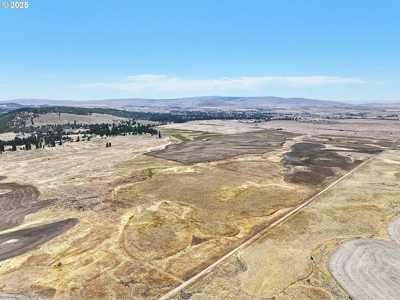 160 Acres of Prime Goldendale Land with Mountain Views - image 17