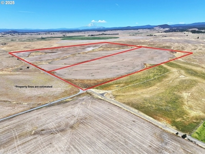 160 Acres of Prime Goldendale Land with Mountain Views - image 6