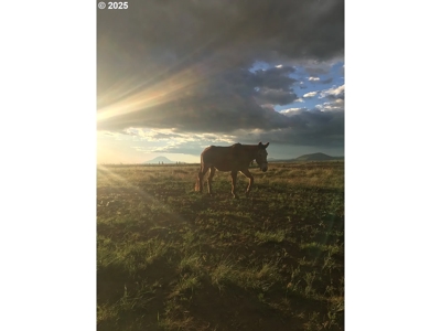 160 Acres of Prime Goldendale Land with Mountain Views - image 4