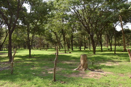 International Fully Developed 3,415 Acre Cattle Ranch For Sale - image 11