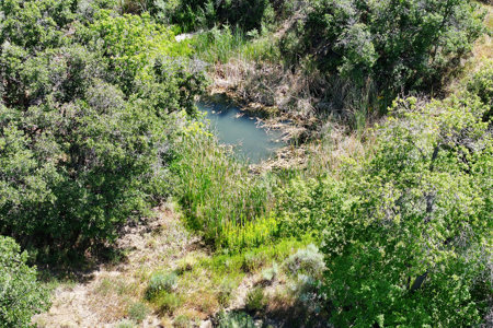 Log Home For Sale on Acreage Bordering BLM in Western Colorado - image 38