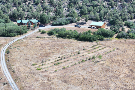 Log Home For Sale on Acreage Bordering BLM in Western Colorado - image 5